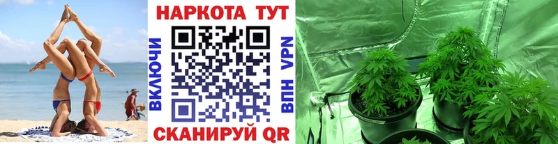 Что такое Новороссийск A-PVP АМФЕТАМИН Канабис Метадон ГАШ Cocaine