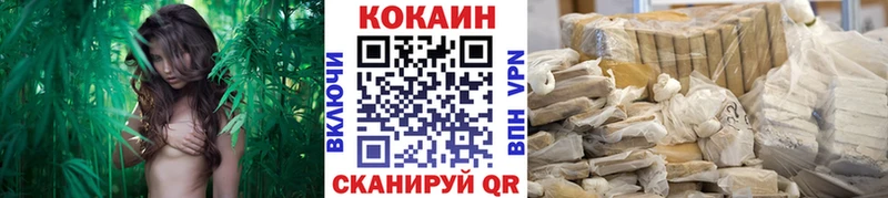 COCAIN Эквадор  Новороссийск 