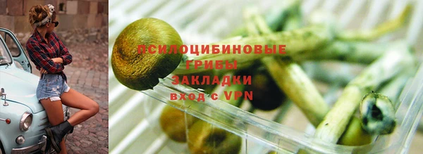 винт Богородицк
