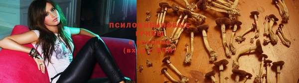винт Богородицк
