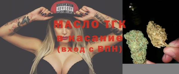 стаф Богданович