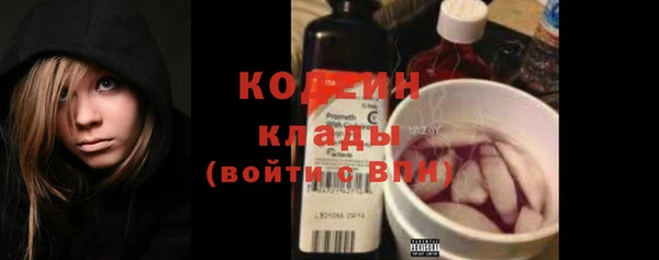 стаф Богданович