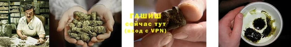 стаф Богданович
