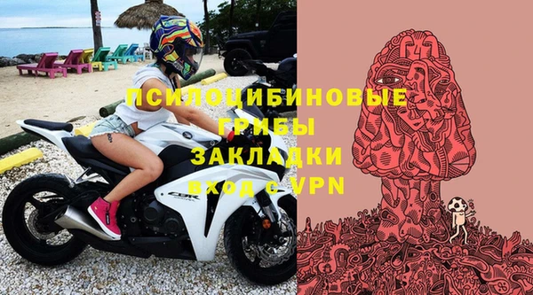 стаф Богданович