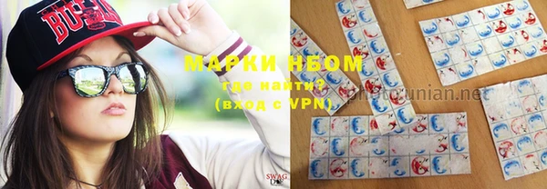 стаф Богданович
