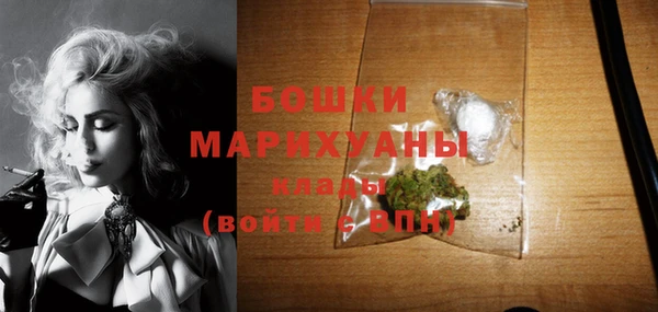 стаф Богданович