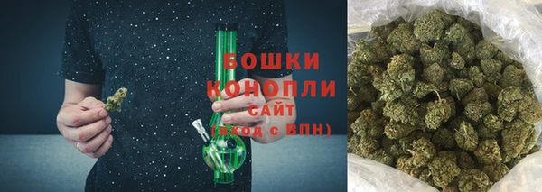 стаф Богданович