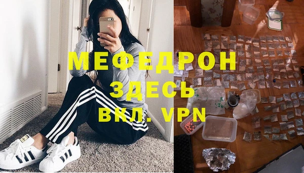 стаф Богданович